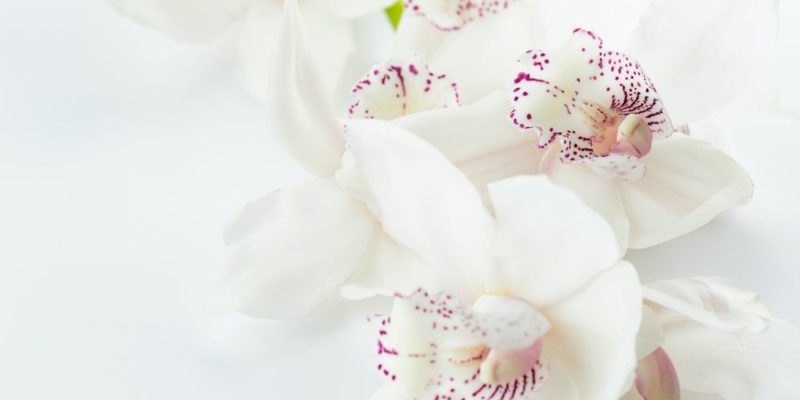Konstgjorda blommor för alla tillfällen